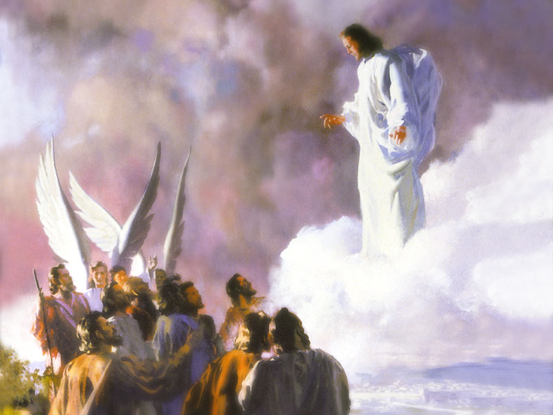 Gesù sale al Cielo ma lascia noi sulla terra - Ascensione A | Giobbeling
