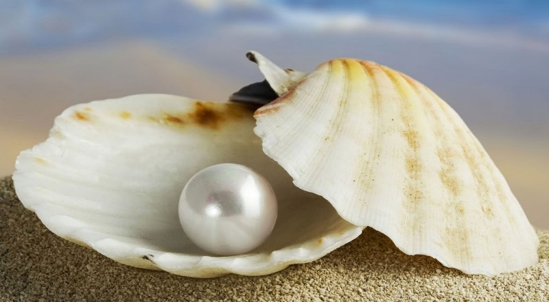 La perla preziosa e il tesoro nascosto - XVII Domenica Ord A ...