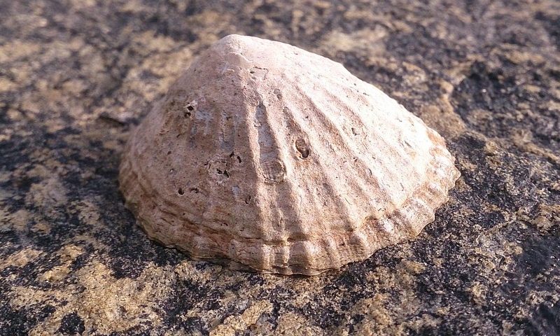 Una grazia speciale da chiedere – 2 Novembre