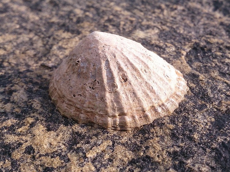 Una grazia speciale da chiedere – 2 Novembre