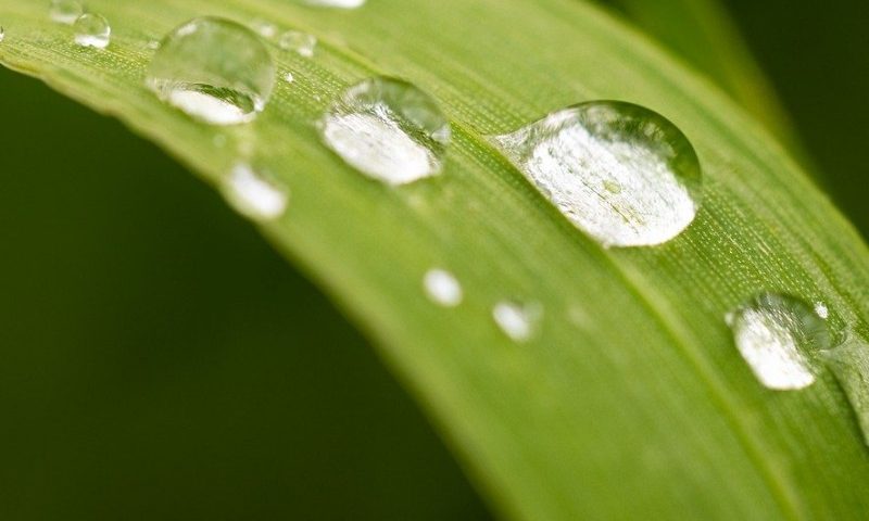 È una goccia, ma non tutto il fiume – Dedicazione della Basilica Lateranense