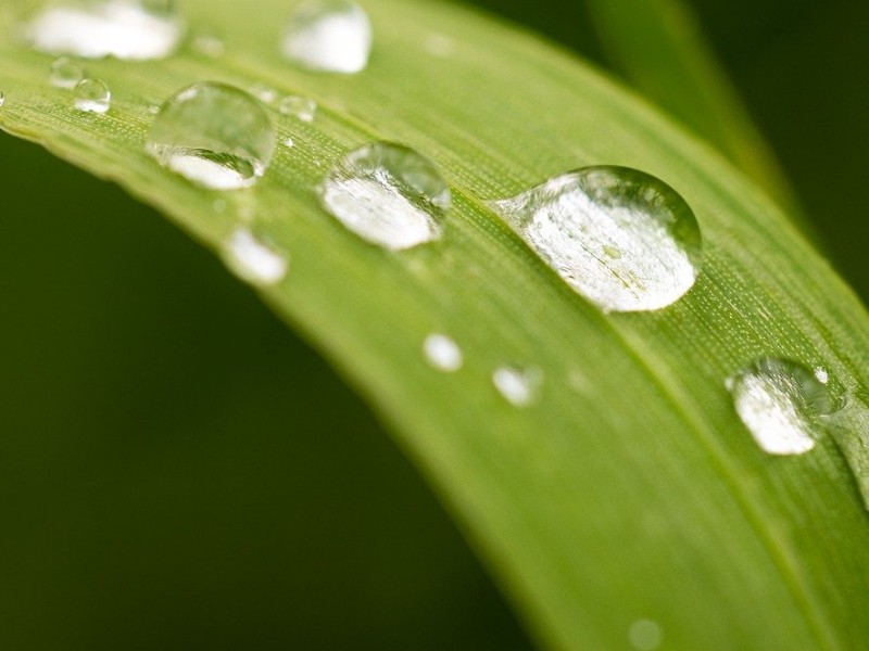 È una goccia, ma non tutto il fiume – Dedicazione della Basilica Lateranense
