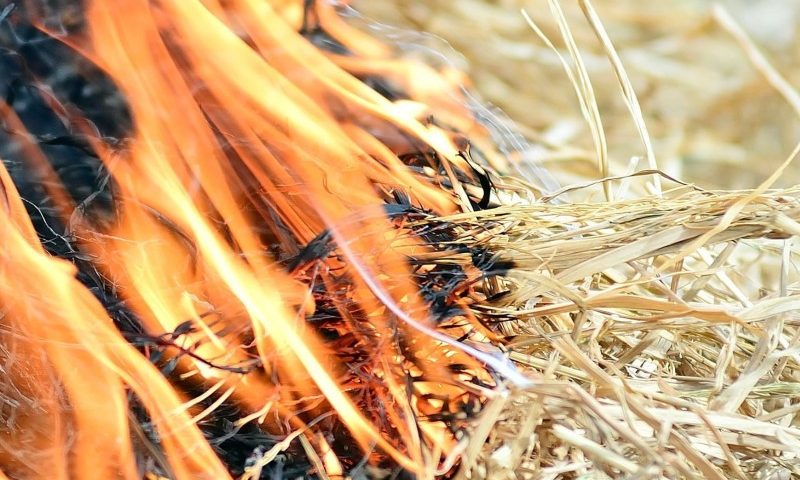 I superbi saranno come paglia che brucia – XXXIII Ord (C)