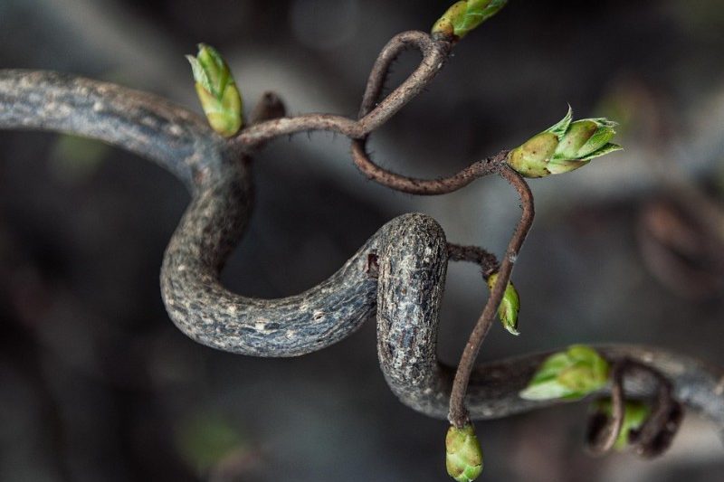 Segno di speranza segno di speranza
