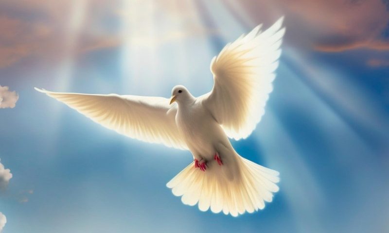 In perfetta sinergia con lo Spirito Santo – II Ordinario (A)