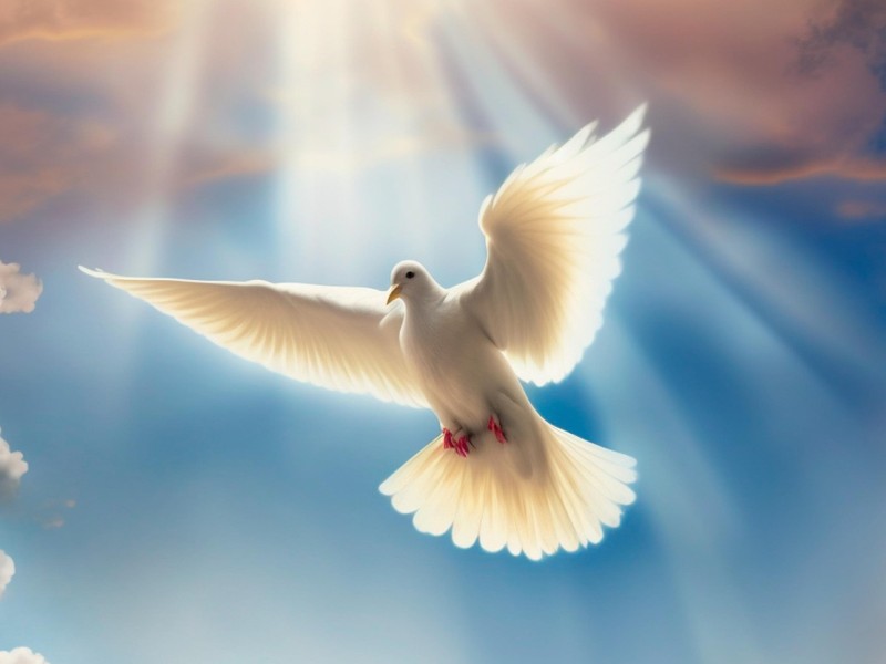 In perfetta sinergia con lo Spirito Santo – II Ordinario (A)