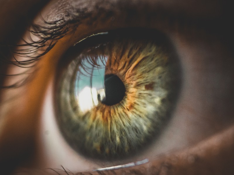 Umile di cuore – Mese di Aprile